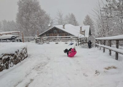 Playing in the snow on a winter path in front off Villa Meledrio in Dimaro